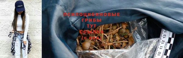 мяу мяу мука Алексеевка