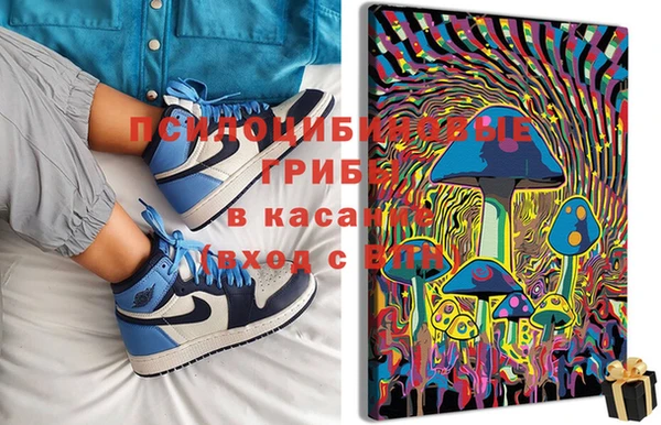 круглые Алзамай