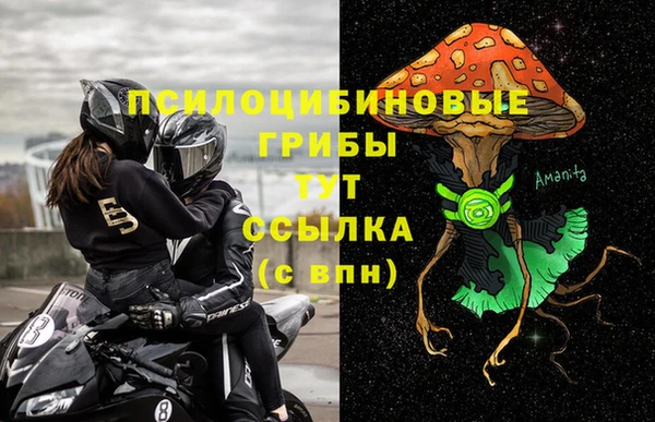 ГАЛЛЮЦИНОГЕННЫЕ ГРИБЫ Алексин