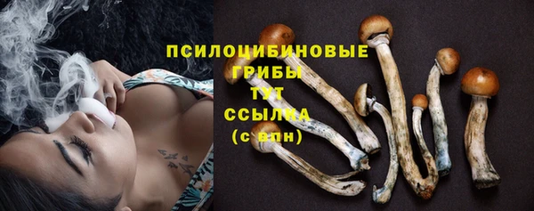 круглые Алзамай