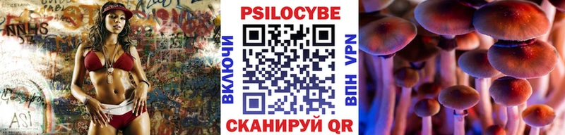 ссылка на мегу сайт  где купить наркоту  Каменногорск  Псилоцибиновые грибы мицелий 