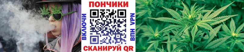 kraken рабочий сайт  Каменногорск  Бошки Шишки ГИДРОПОН 